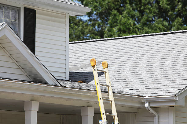 Best Vinyl Siding Installation  in Gifford, FL